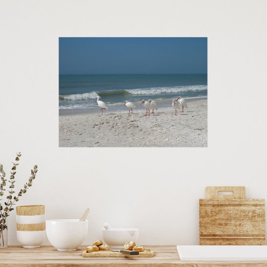 Poster Ibis Beach (Cuisine)