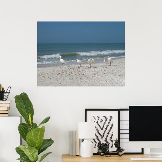 Poster Ibis Beach (Bureau à domicile)