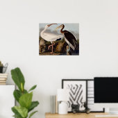 Poster Ibis blanc d'Audubon (Bureau à domicile)