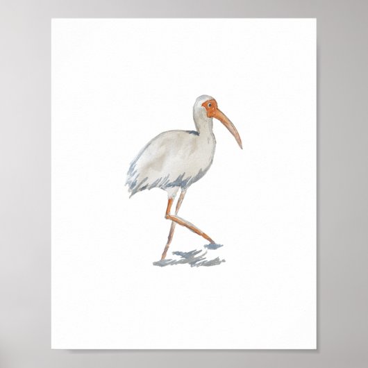 Poster Ibis Blanc Florida Bird Nature Peinture (Devant)