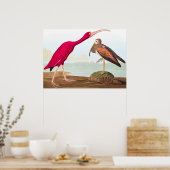 Poster Ibis de Scarlet par John James Audubon (Cuisine)