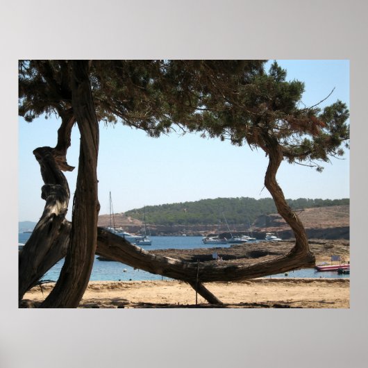 Poster Ibiza Dreams (Devant)