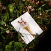 Poster Ice Cream Wall Art Print ’99 Cone’