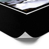 Poster Ice Dolphins (Coin)