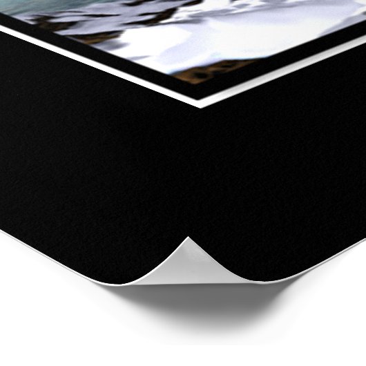 Poster Ice Dolphins (Coin)