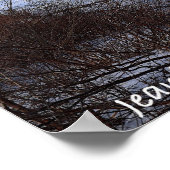 Poster Icey Delaware (Coin)