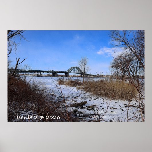 Poster Icey Delaware (Devant)