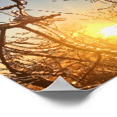 Poster icicules de membre d'arbre (Coin)