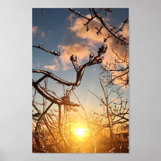 Poster icicules de membre d'arbre (Devant)