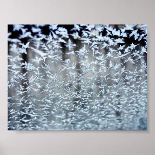 Poster Icicules d'hiver (Devant)