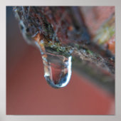 Poster Icône colorée (Devant)