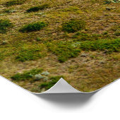 Poster Icône ferroviaire de l'Alberta (Coin)