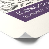 Poster Iconographie - Figures de zoologie (Coin)