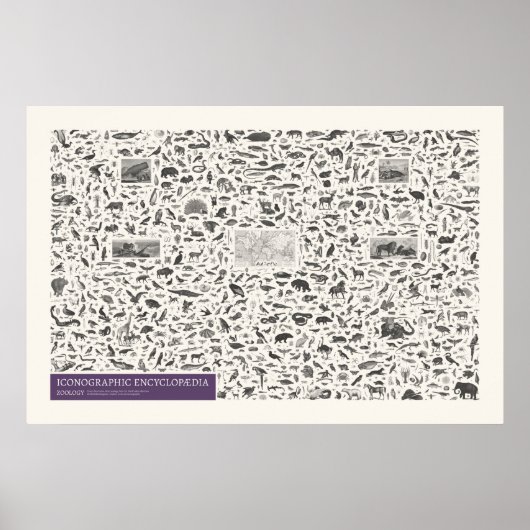 Poster Iconographie - Figures de zoologie (Devant)