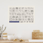 Poster Iconographie - Géographie & Planographie (Cuisine)