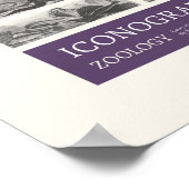 Poster Iconographie - Scènes de zoologie (Coin)