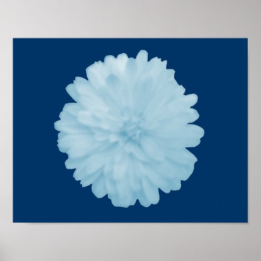 Poster Icy Blue Marigold (Devant)