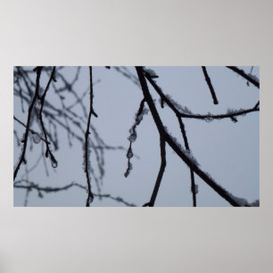 Poster Icy Branches Winter Nature Photographie
