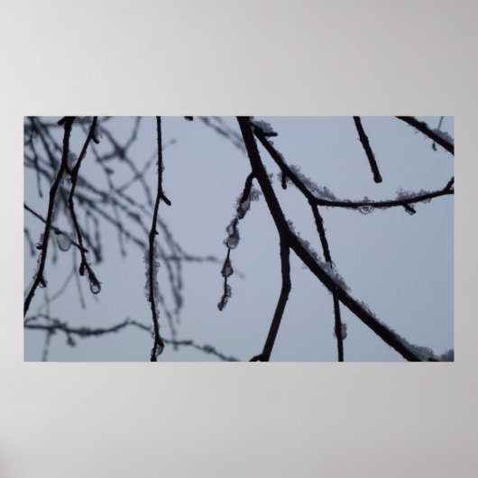 Poster Icy Branches Winter Nature Photographie (Devant)