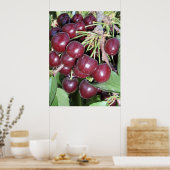 Poster Idaho Bing Cerises (Cuisine)