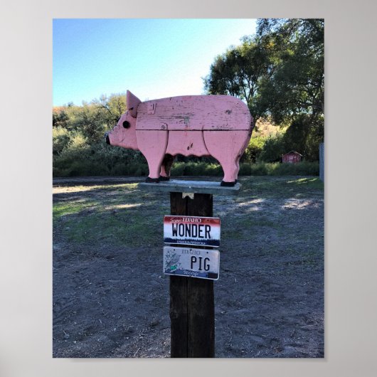 Poster Idaho Se Demande Cochon, Drôle (Devant)