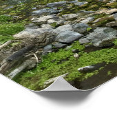 Poster Idaho Thousand Springs Falls Imprimer (Coin)