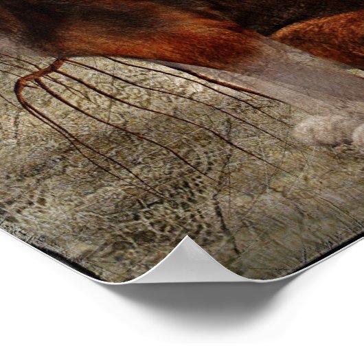 Poster Idéal pour le calme (Coin)