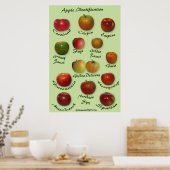 Poster Identification Apple (Cuisine)