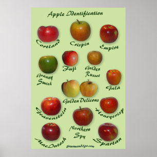 Poster Identification Apple