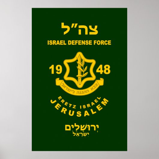 Poster IDF - Programme de bénévolat de Sar El (Devant)