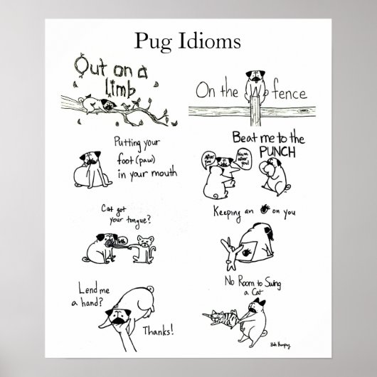 Poster Idioms de carlin (Devant)