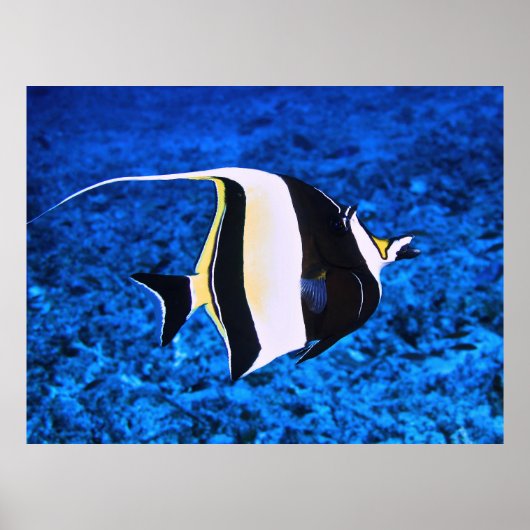 Poster Idole mauresque des îles Gili (Devant)