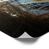 Poster Idylle am See (Coin)