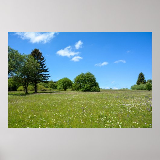 Poster Idylle des prairies (Devant)