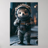 Poster Igel dans l'espace (Devant)