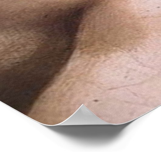 Poster Ignudo (Coin)