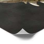 Poster iguana (Coin)