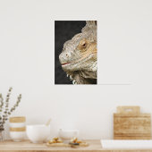 Poster iguana (Cuisine)