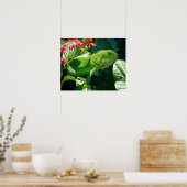 Poster Iguana (Cuisine)