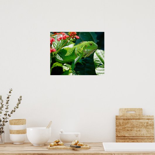 Poster Iguana (Cuisine)