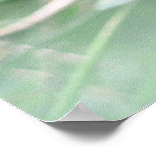 Poster Iguana (Coin)