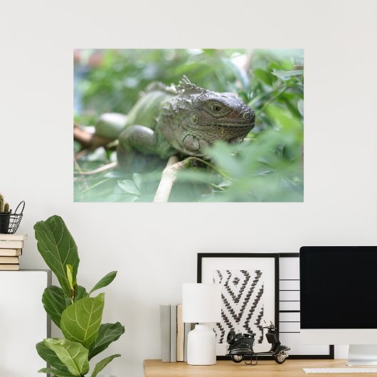 Poster Iguana (Bureau à domicile)