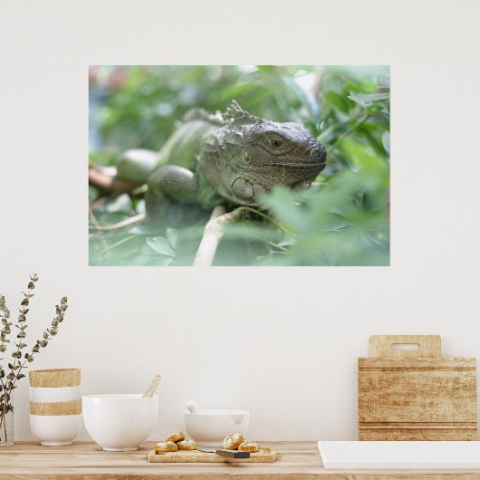Poster Iguana (Cuisine)