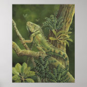 Poster Iguana (Devant)