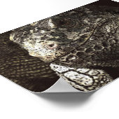 Poster Iguana (Coin)