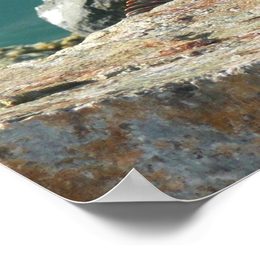 Poster Iguana à St Thomas (Coin)