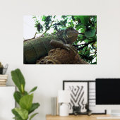 Poster Iguana dans un arbre (Bureau à domicile)