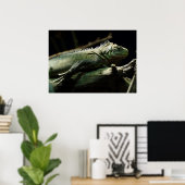 Poster Iguana délicatissima (Bureau à domicile)