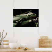 Poster Iguana délicatissima (Cuisine)