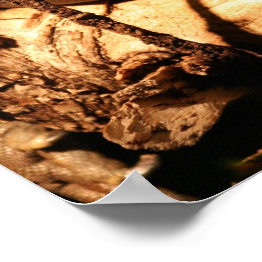 Poster Iguana jamaïcaine en danger, Cyclura collei (Coin)